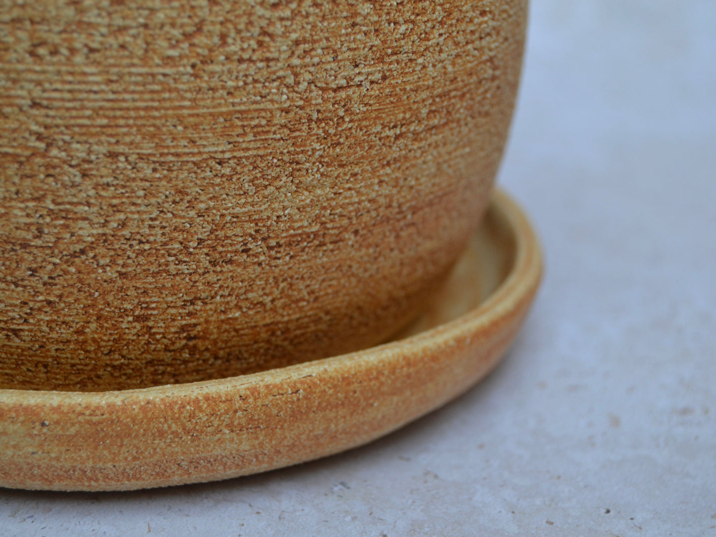 Test n.5